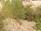 AG_MPM (121).JPG